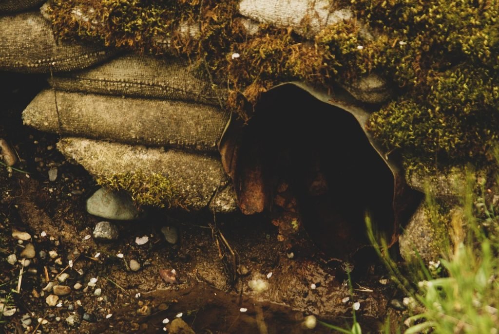 Emergency Plumber Hemmant